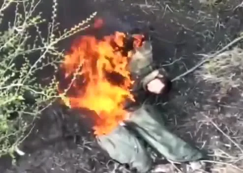 Preview for ✙ Albina Fella ✙ 🇺🇦🇬🇧🇫🇷🇩🇪🇵🇱🇺🇸🇨🇦🇦🇺 on X- '🔞 Extra crispy occupier. https---t.co-kV9lNjmgKk' - X