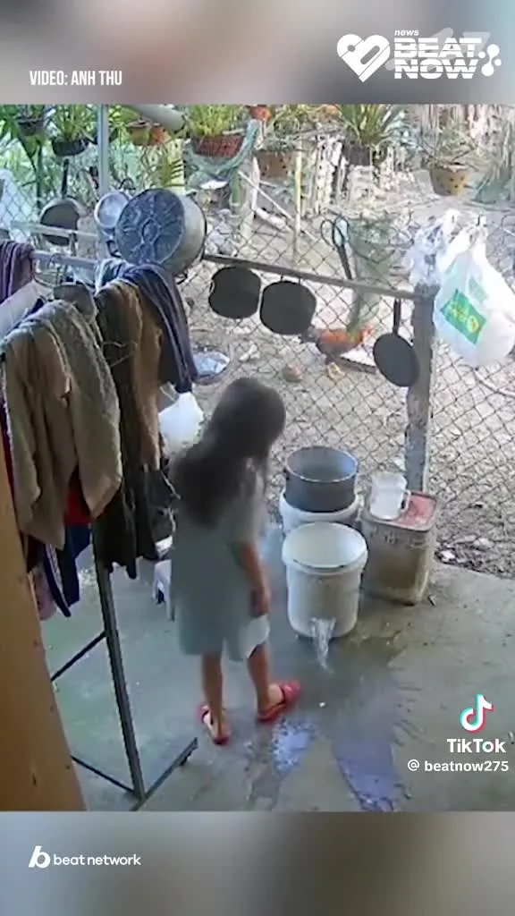 Preview for Video 1498380