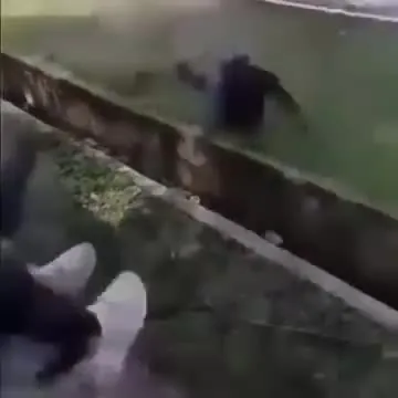 Preview for IMG 7221