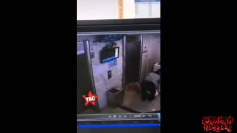 Preview for video 2025 03 10 10 55 56