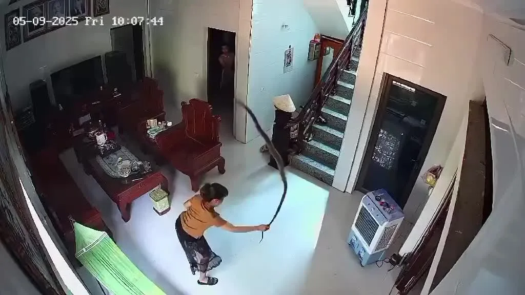 Preview for Video 1472181