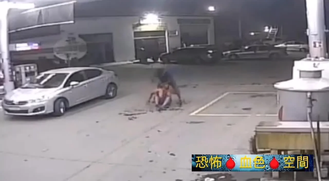 Preview for Video.Guru 20240731 040432871