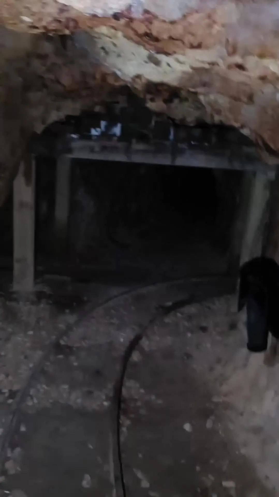 Preview for whispers.asylum 1716251947 3372484288980795864 24776888352