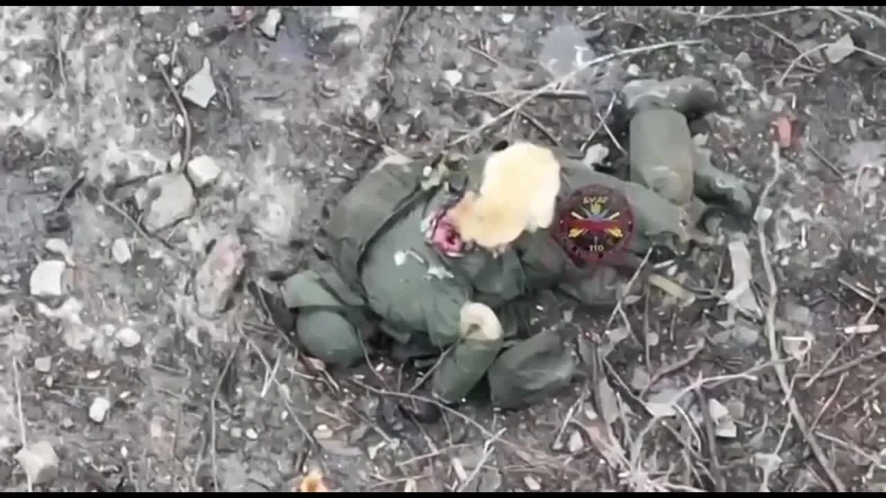 Preview for 66ac14624e671