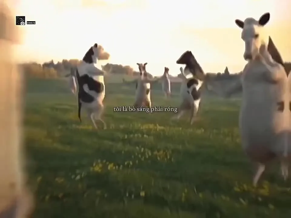 Preview for 1000006024