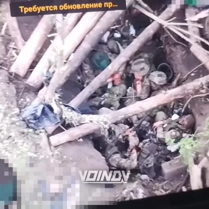 Preview for VID 20240621 000223 249