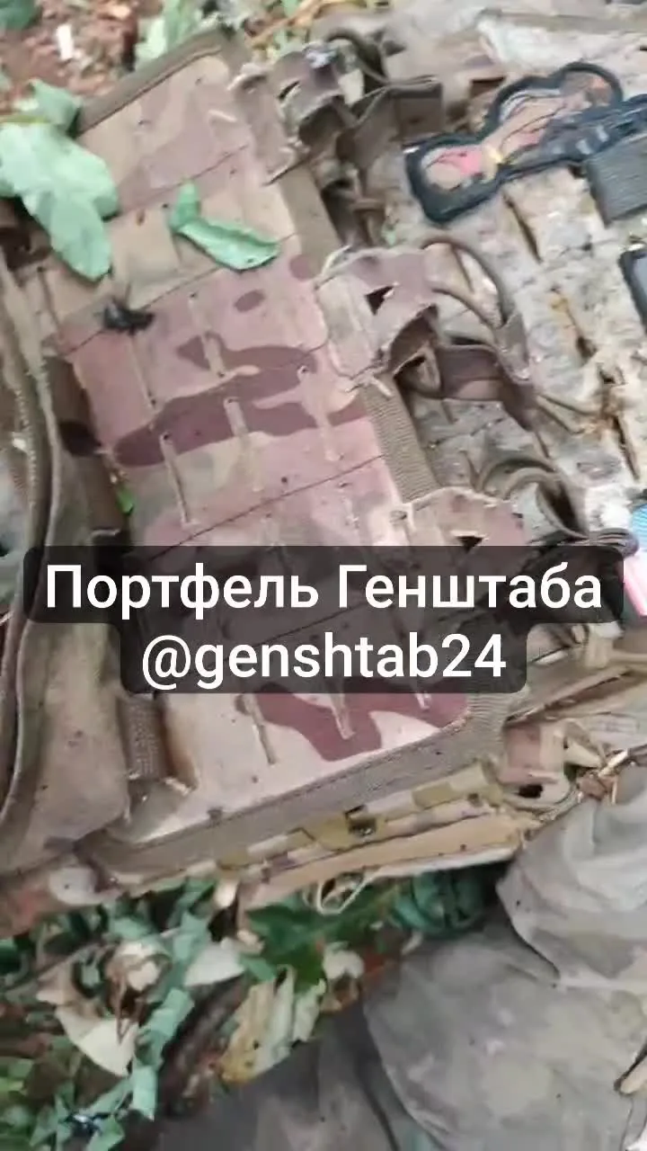 Preview for VID 20240621 000739 383