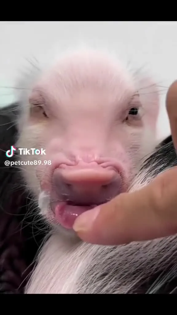 Preview for heo cute