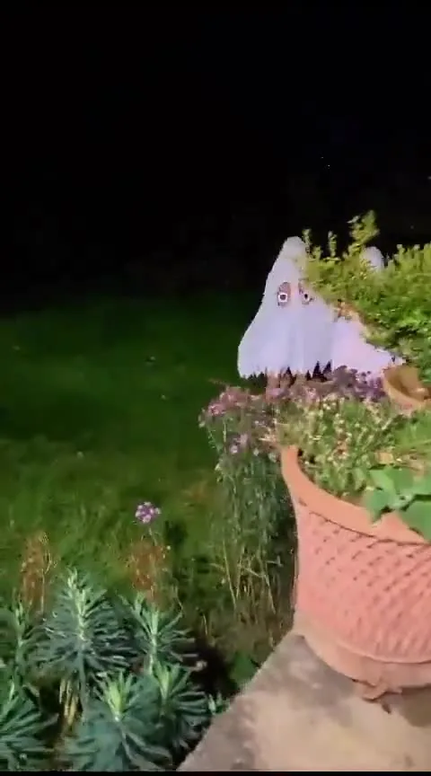 Preview for 538406690