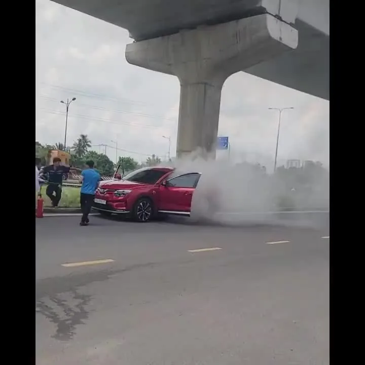 Preview for IMG 6338