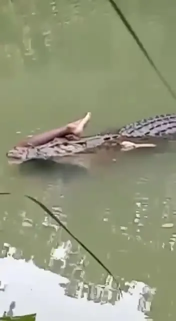 Preview for  7465174386926198487