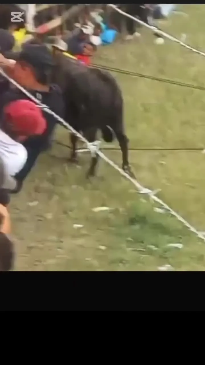 Preview for video 2025 04 21 11 02 01