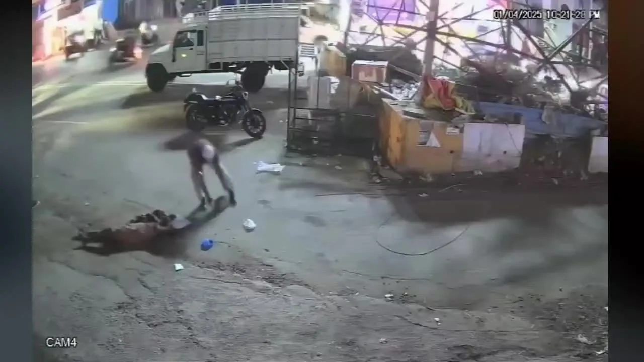 Preview for 0007732 3