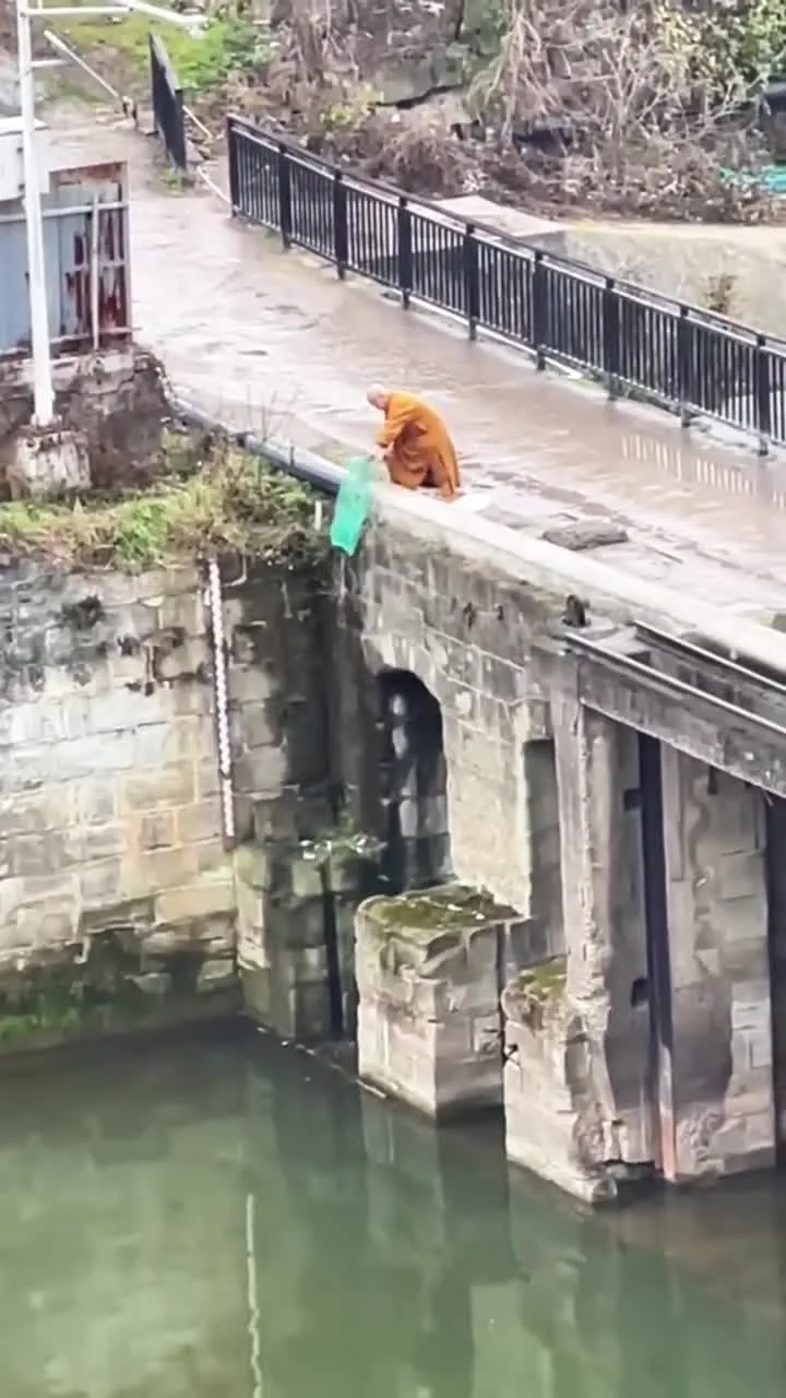 Preview for Video 1294802