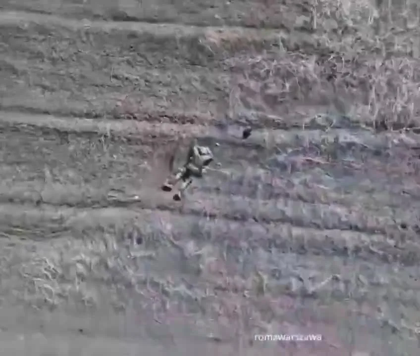 Preview for The Ministry Of Ungentlemanly Warfare on X 'Doink!! @Cargo 2OO https t.co 27VDhH3vLa' X