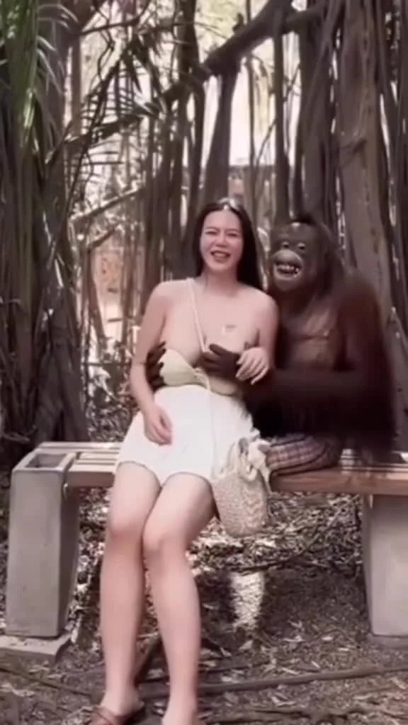 Preview for Video 1304101